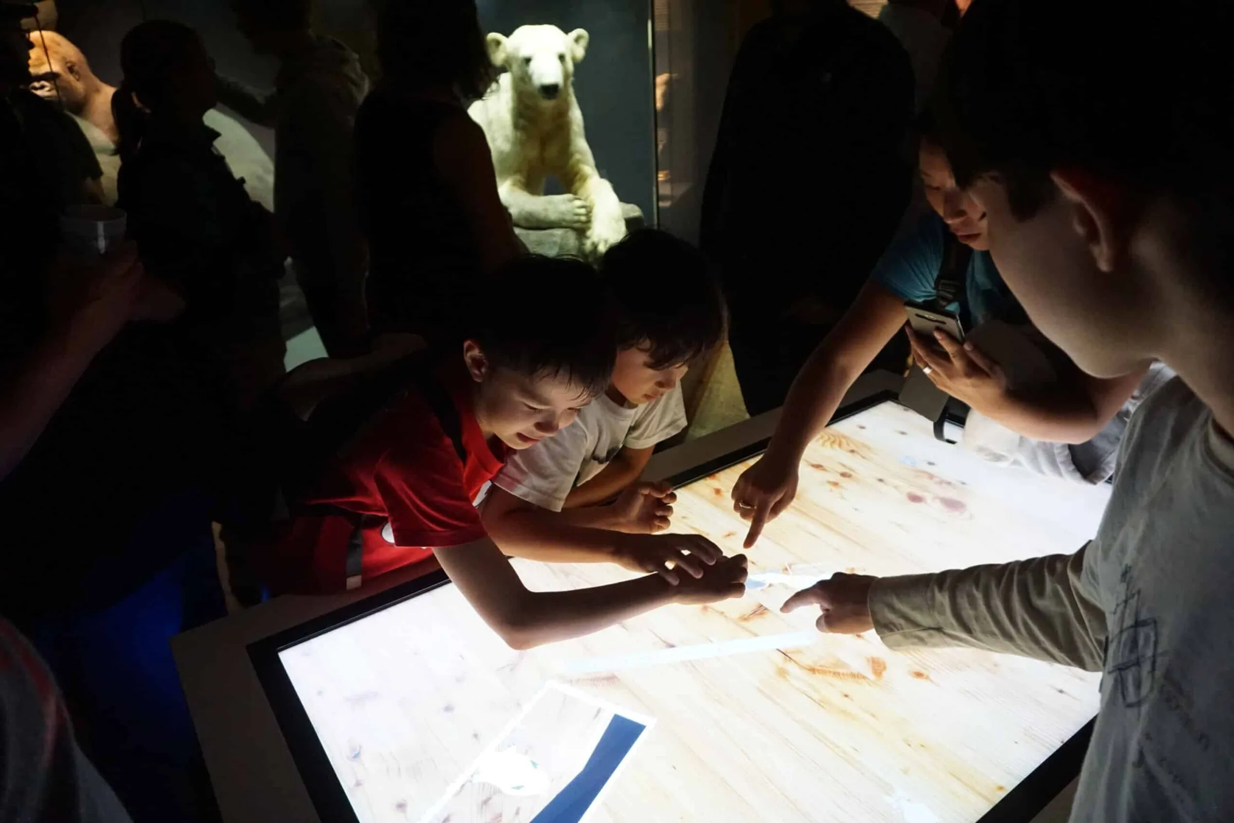 Multitouch Software mit Objekterkennung und 3D-Dinosauriern im Naturkundemuseum