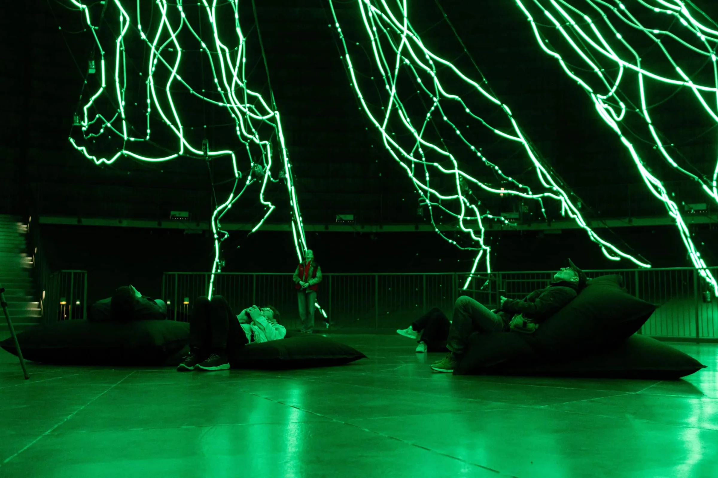 an immersive centrepiece for the ‘Myth of the Forest’ exhibition