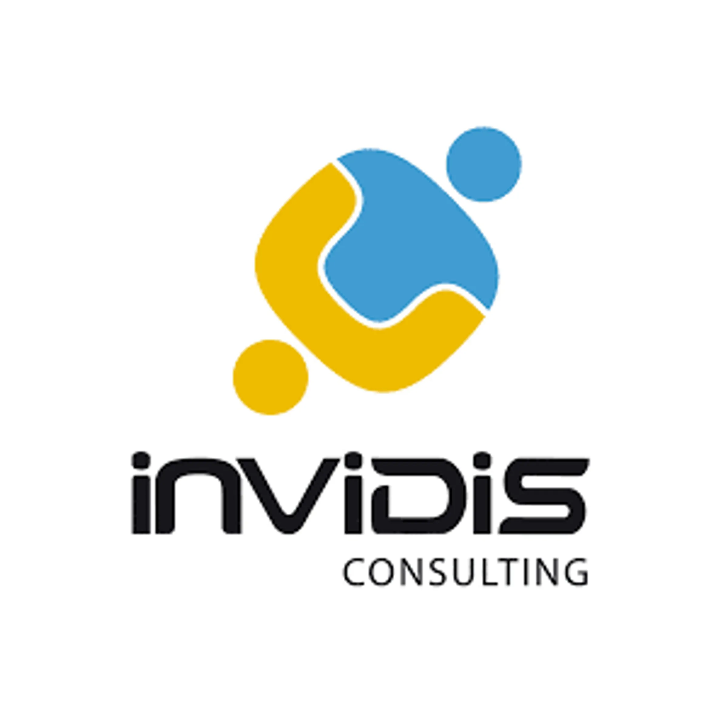 invidis consulting