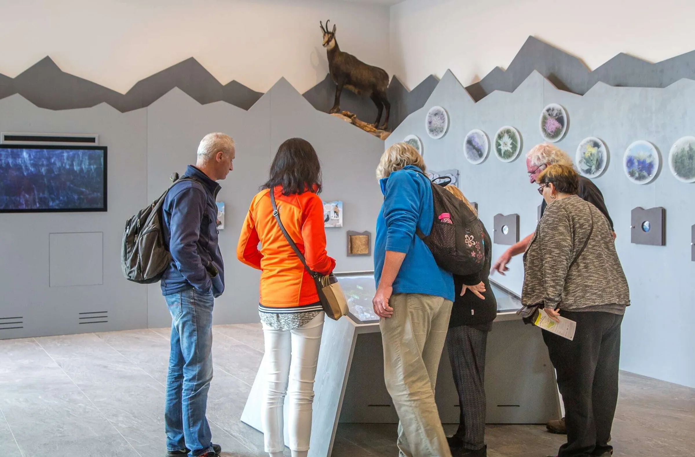 Gigapixel Multitouch-Tisch am Erlebnisberg Jenner