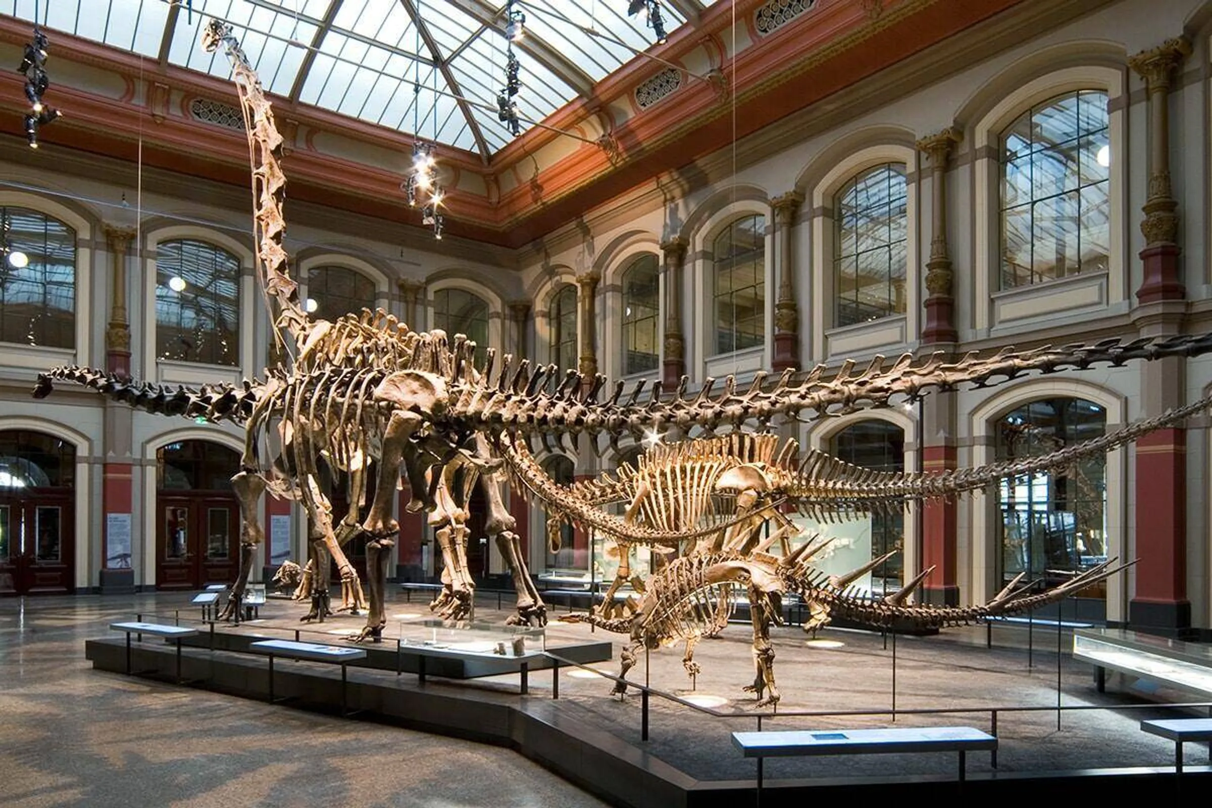 Museum für Naturkunde Berlin - Sauriersaal ©Carola-Radke-MfN