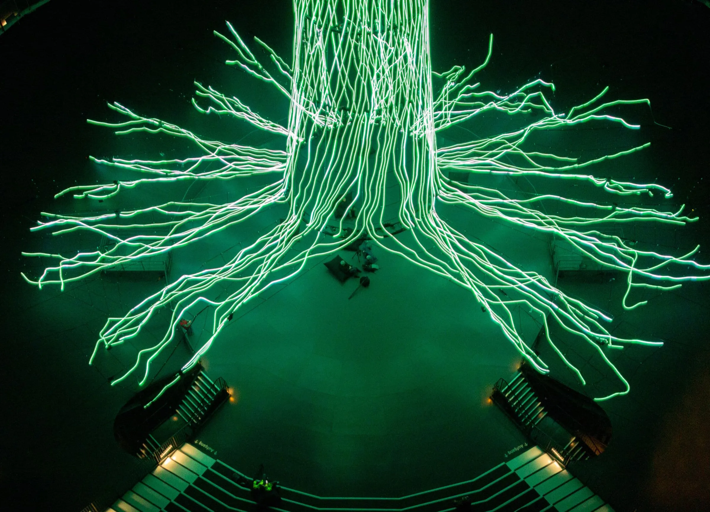 Root system made of LED strands in the Mythos Forest