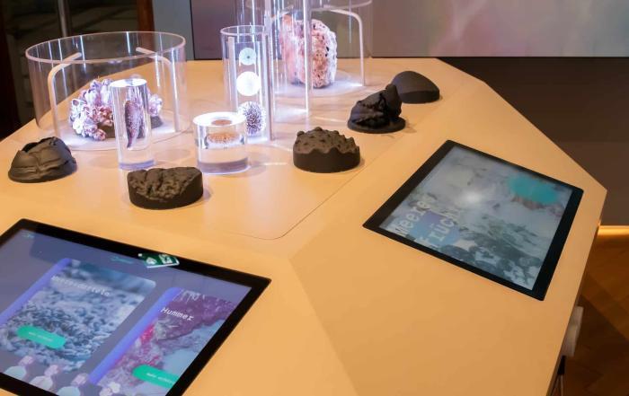 interaktive Installation im Museum mit Exponaten und Touchscreens