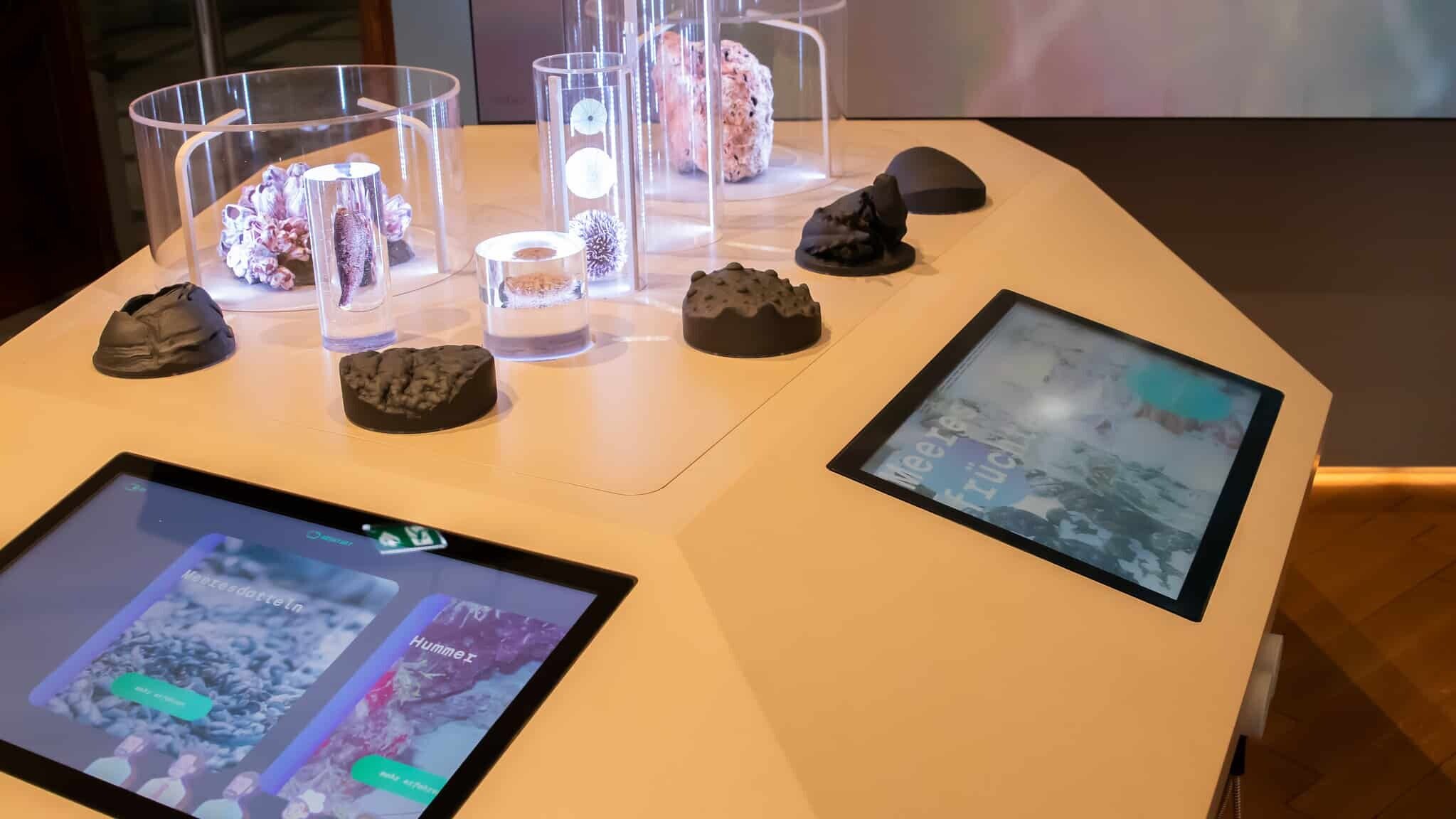 interactive installation in the museum with exhibits and touch screens
