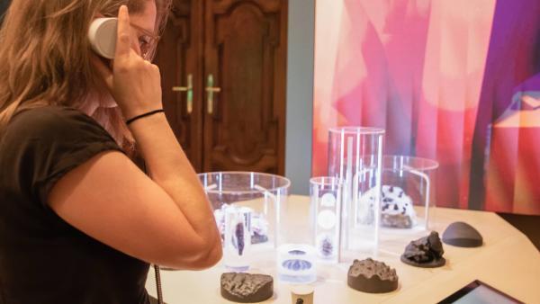 interaktives Exponat zu Meerestieren im Deck 50